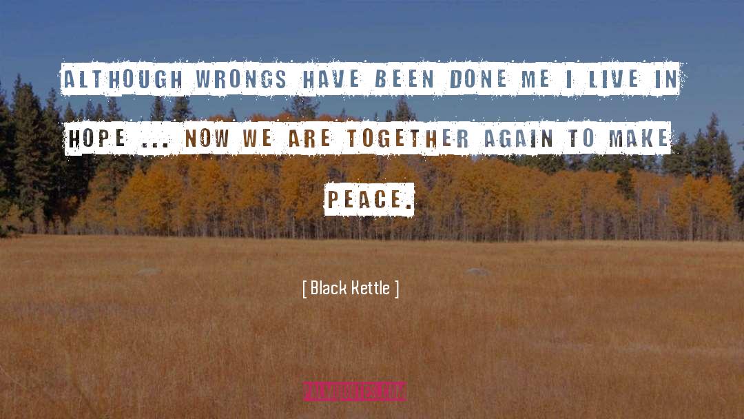 Making Peace quotes by Black Kettle