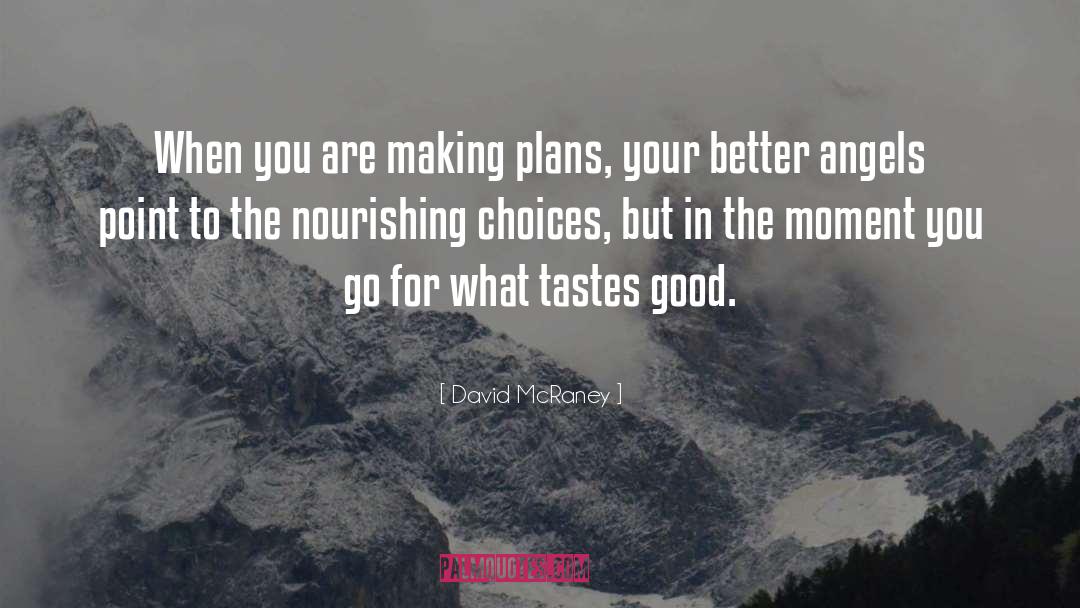 Making Plans quotes by David McRaney