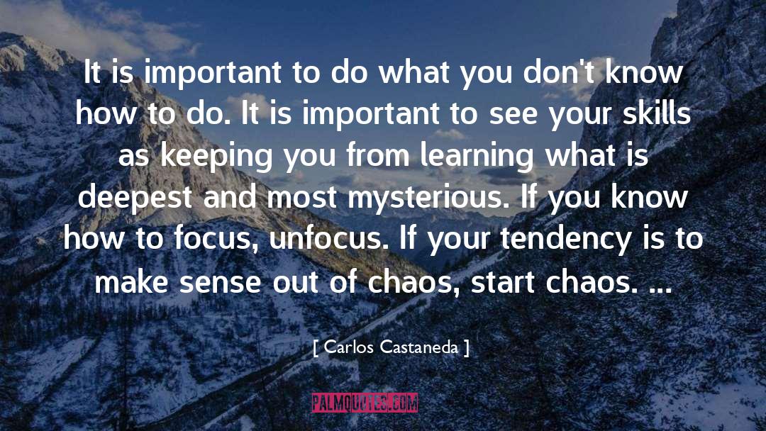 Making Sense Of Chaos quotes by Carlos Castaneda