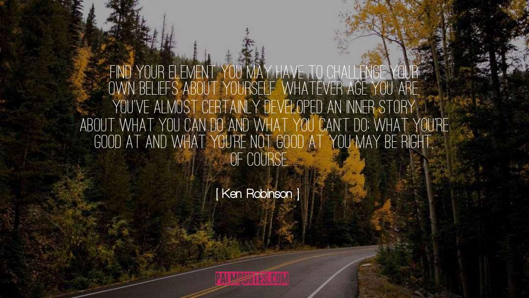 Making Your Own Reality quotes by Ken Robinson