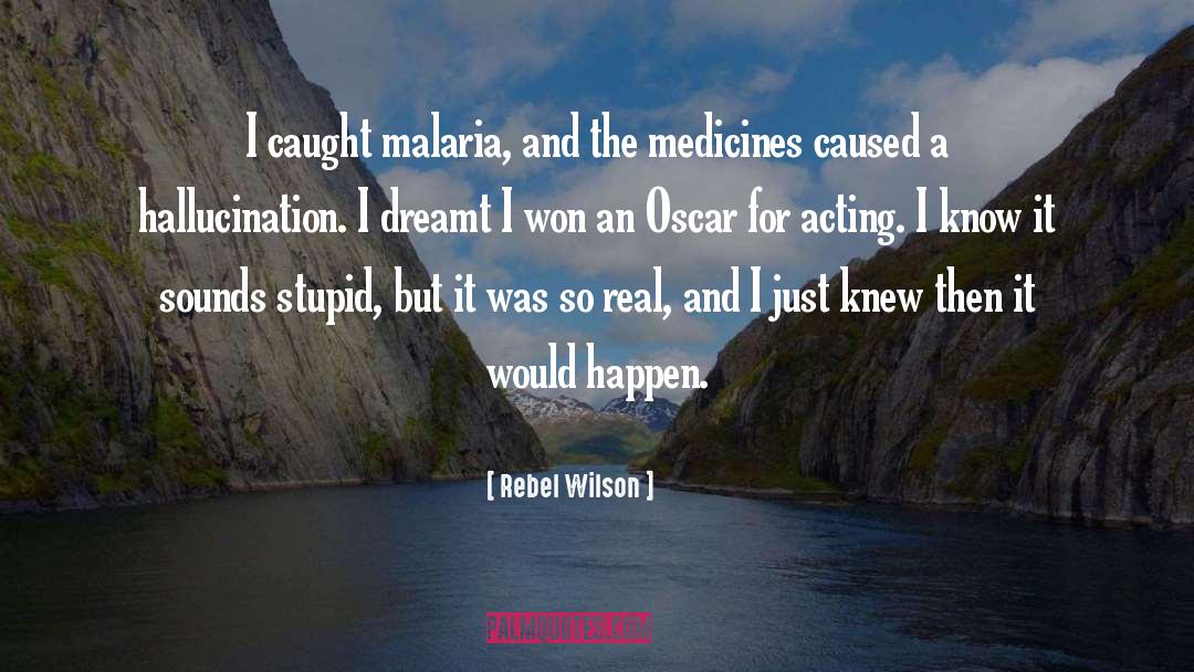 Malaria quotes by Rebel Wilson