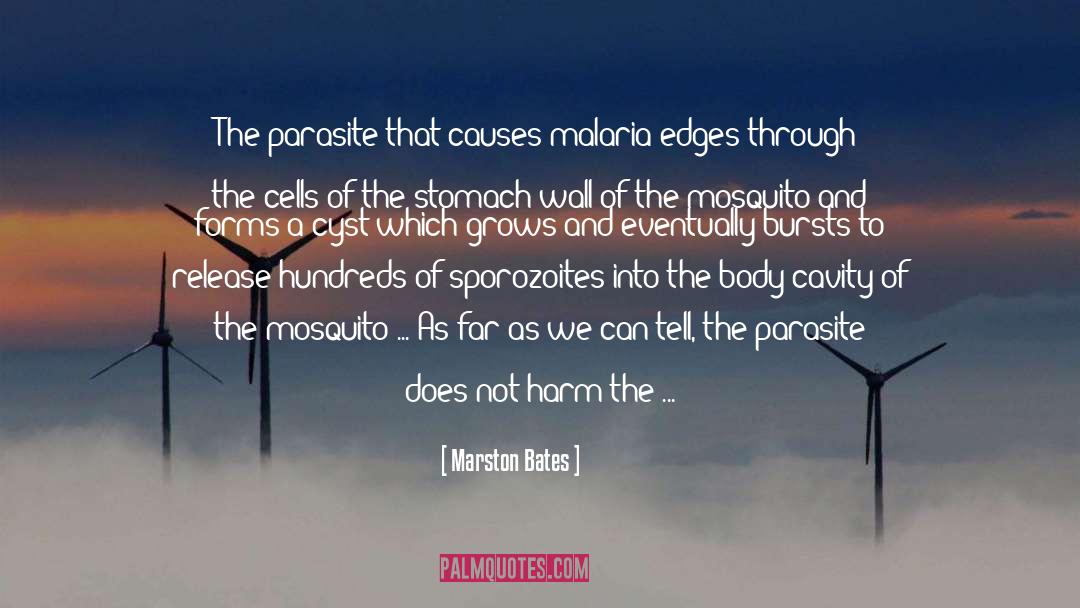 Malaria quotes by Marston Bates