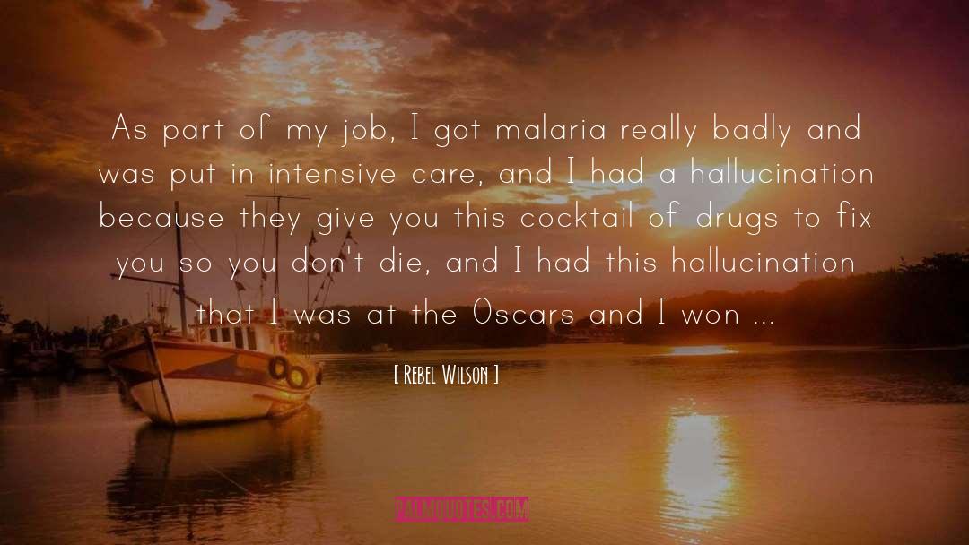 Malaria quotes by Rebel Wilson