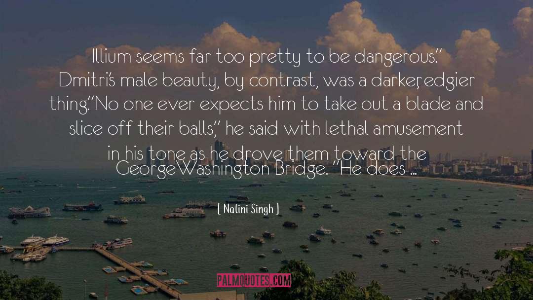 Male Beauty quotes by Nalini Singh
