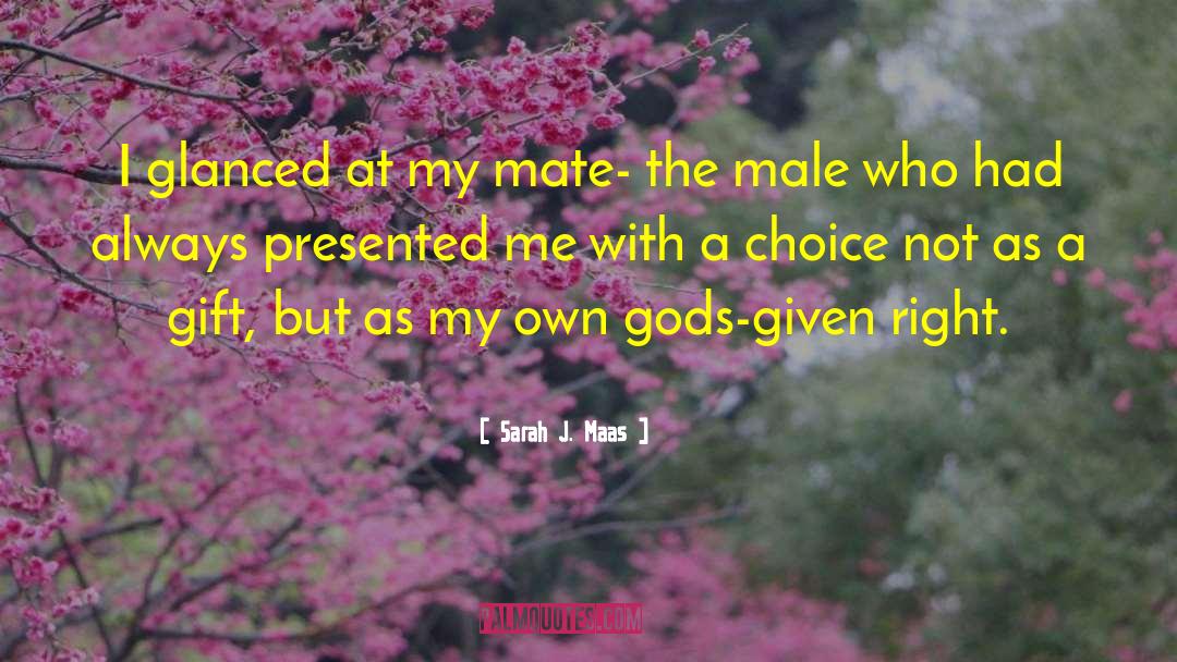 Male Chauvinism quotes by Sarah J. Maas