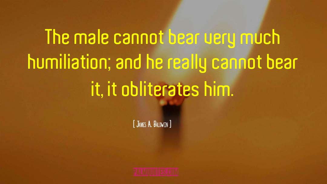 Male Chauvinism quotes by James A. Baldwin
