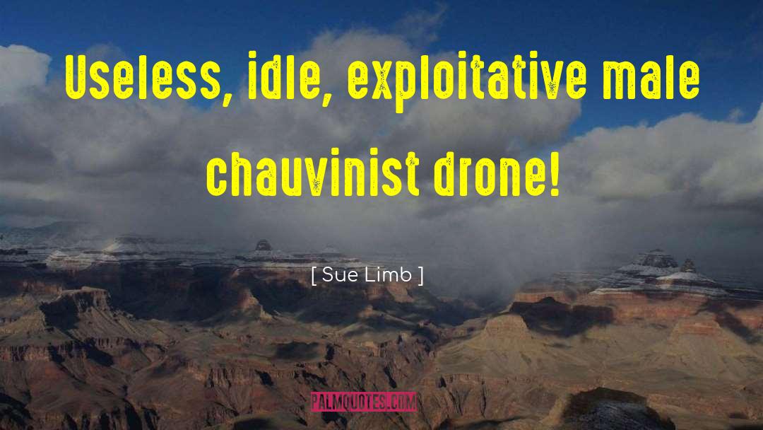 Male Chauvinist quotes by Sue Limb