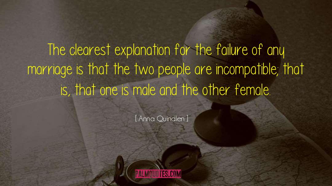 Male Domination quotes by Anna Quindlen