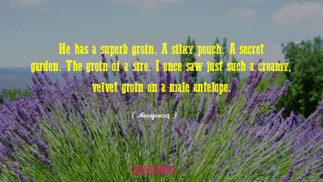 Male Humour quotes by Anonymous