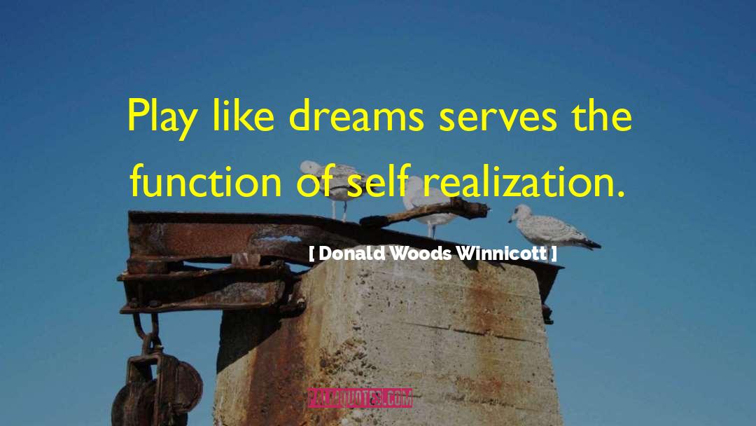 Male Philosophy quotes by Donald Woods Winnicott