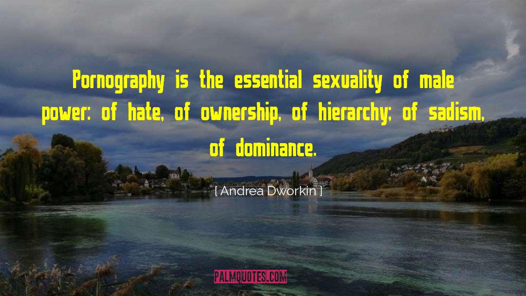 Male Power quotes by Andrea Dworkin