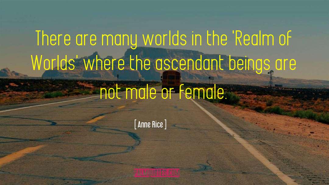 Male Skepticism quotes by Anne Rice