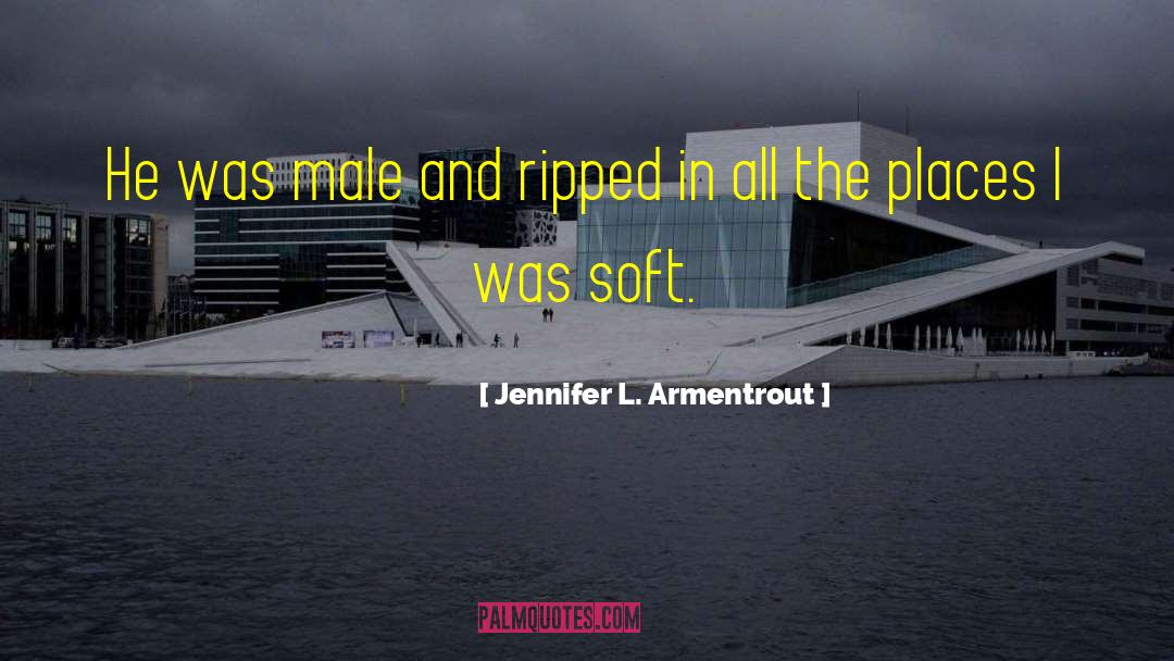Male Skepticism quotes by Jennifer L. Armentrout