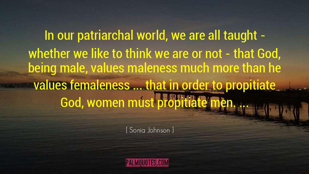 Maleness quotes by Sonia Johnson