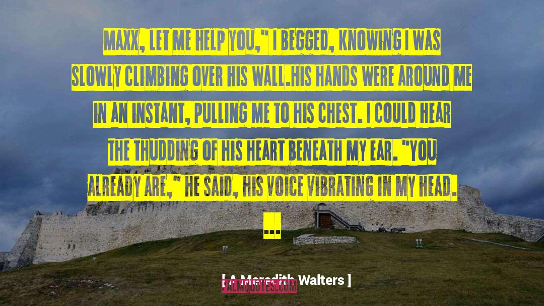 Malerie Walters quotes by A Meredith Walters