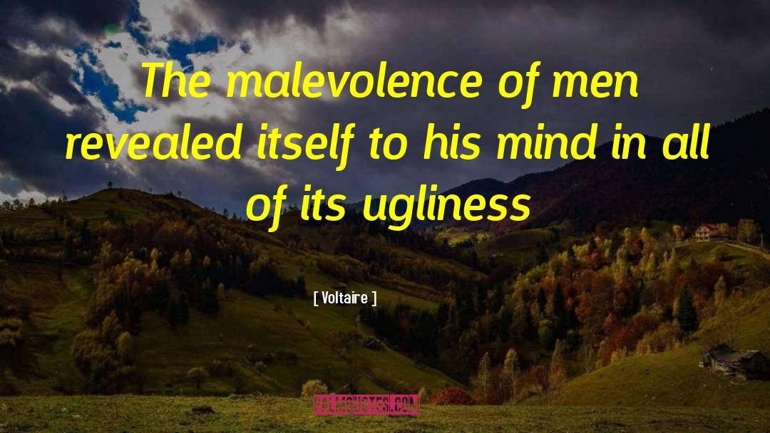 Malevolence quotes by Voltaire