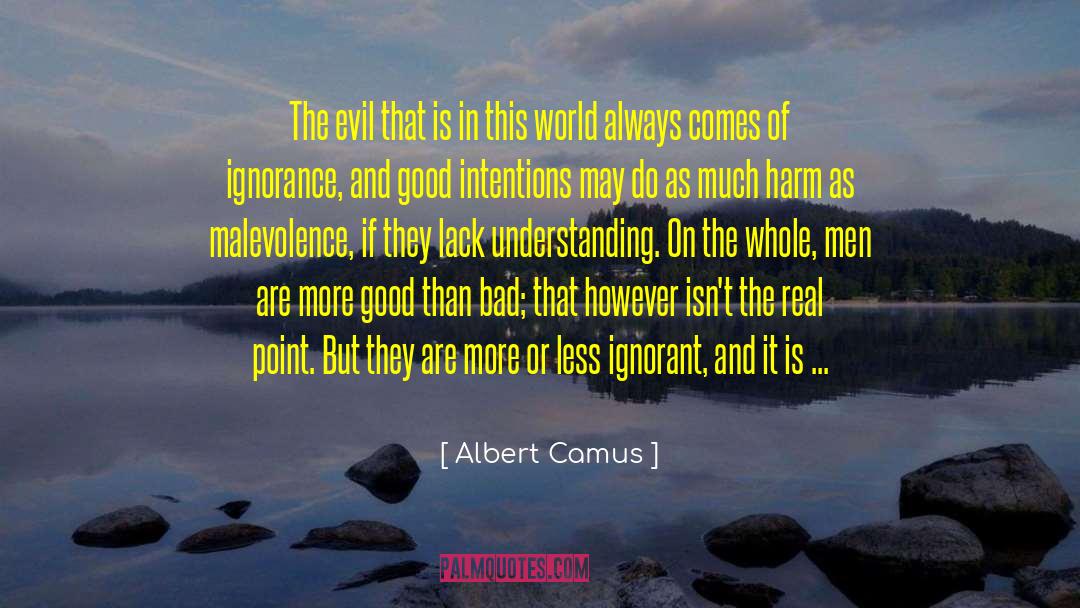 Malevolence quotes by Albert Camus