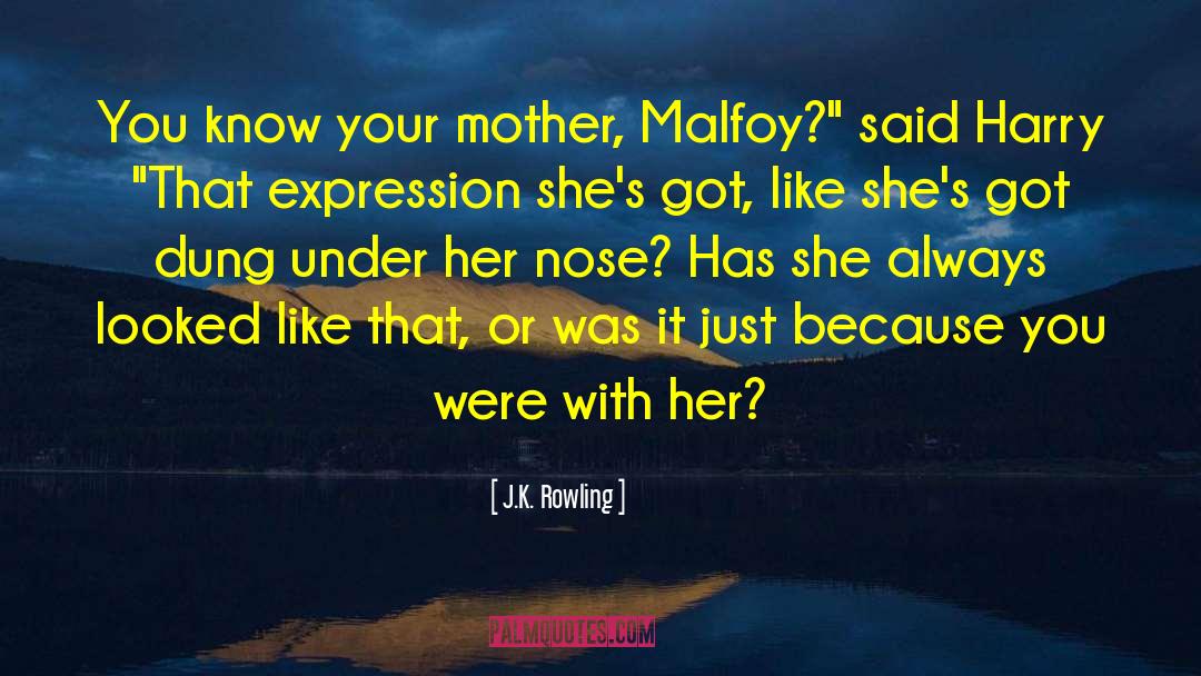 Malfoy quotes by J.K. Rowling