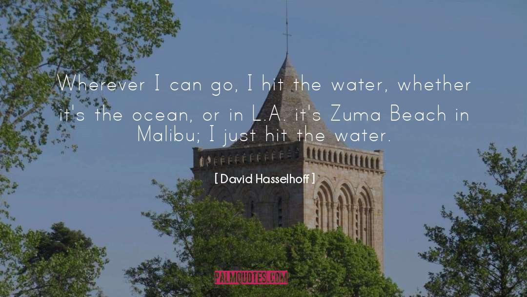 Malibu quotes by David Hasselhoff