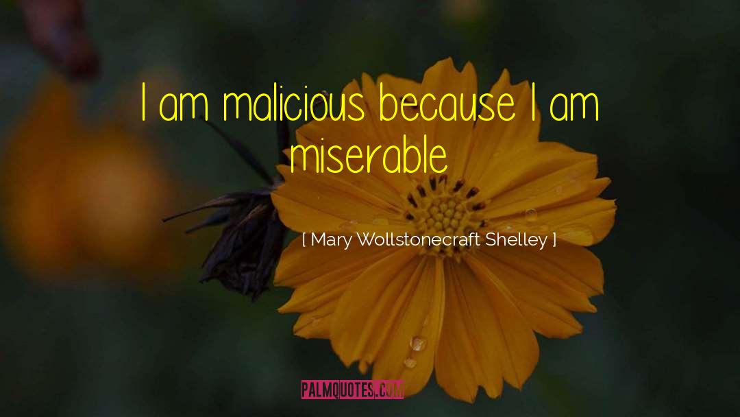 Malicious quotes by Mary Wollstonecraft Shelley