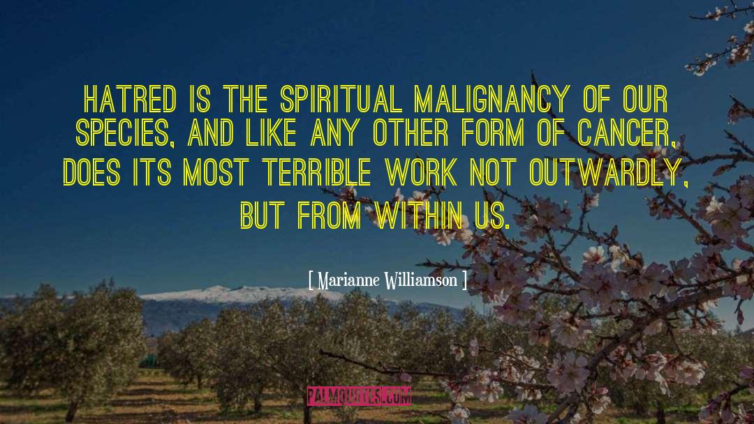 Malignancy quotes by Marianne Williamson