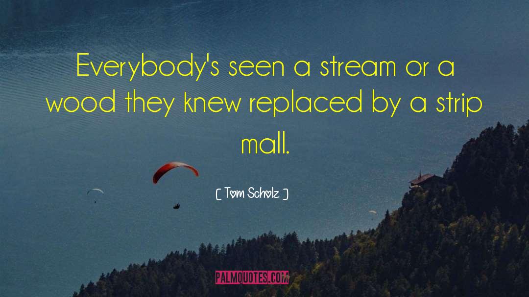 Malls quotes by Tom Scholz