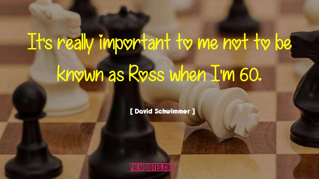 Malstrom Ross quotes by David Schwimmer