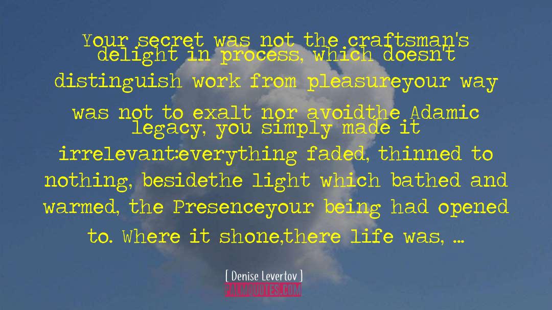 Malstroms Process quotes by Denise Levertov