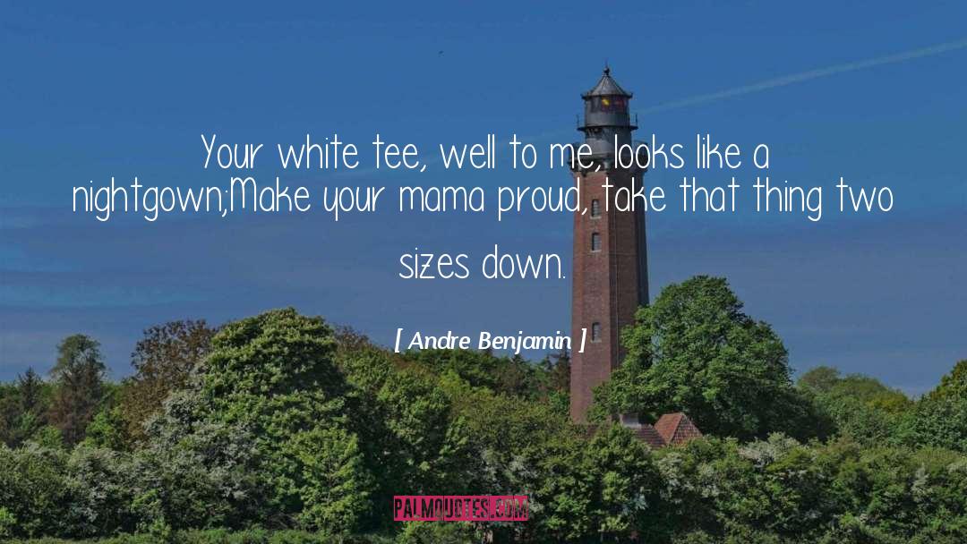 Mama quotes by Andre Benjamin