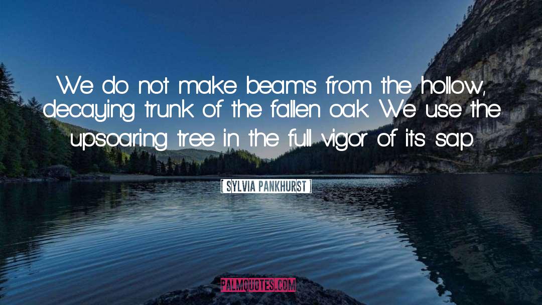 Mamey Tree quotes by Sylvia Pankhurst