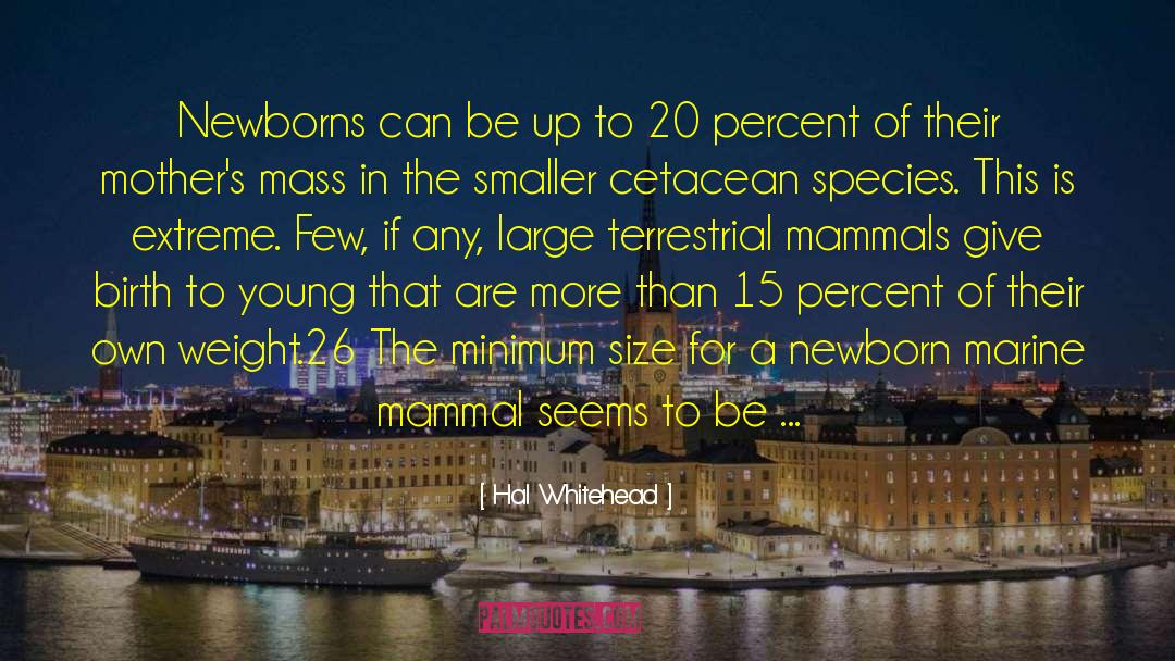 Mammal quotes by Hal Whitehead