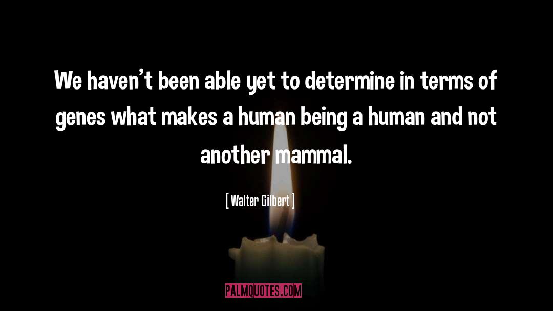 Mammal quotes by Walter Gilbert