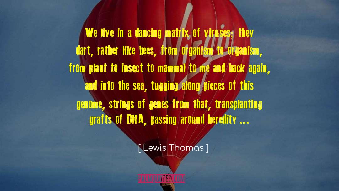 Mammal quotes by Lewis Thomas