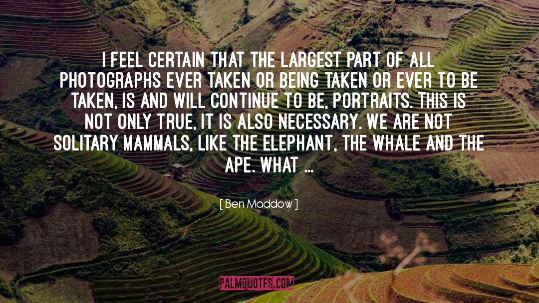 Mammals quotes by Ben Maddow