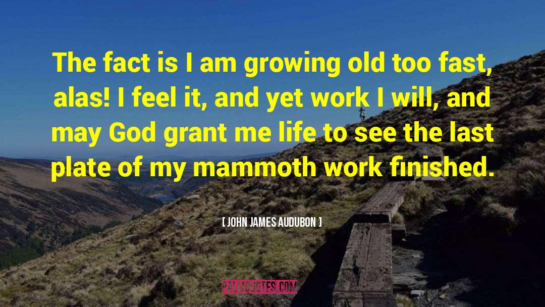 Mammoth quotes by John James Audubon