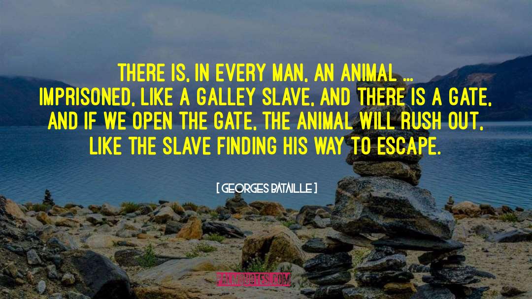 Man Booker quotes by Georges Bataille
