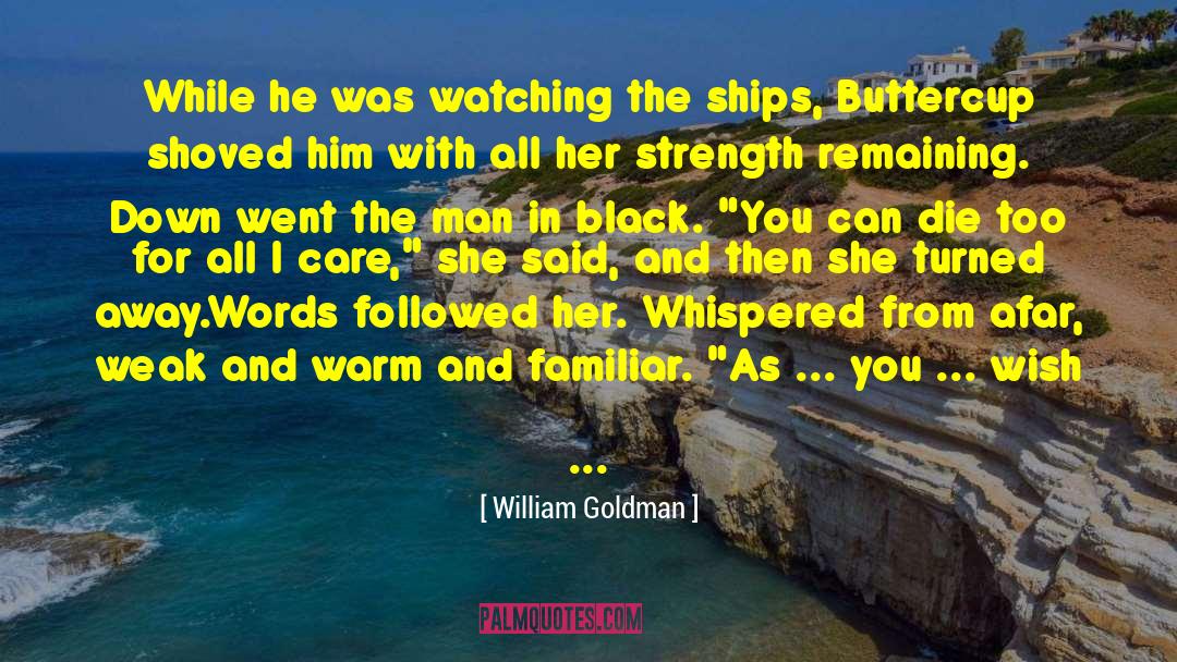 Man In Black quotes by William Goldman