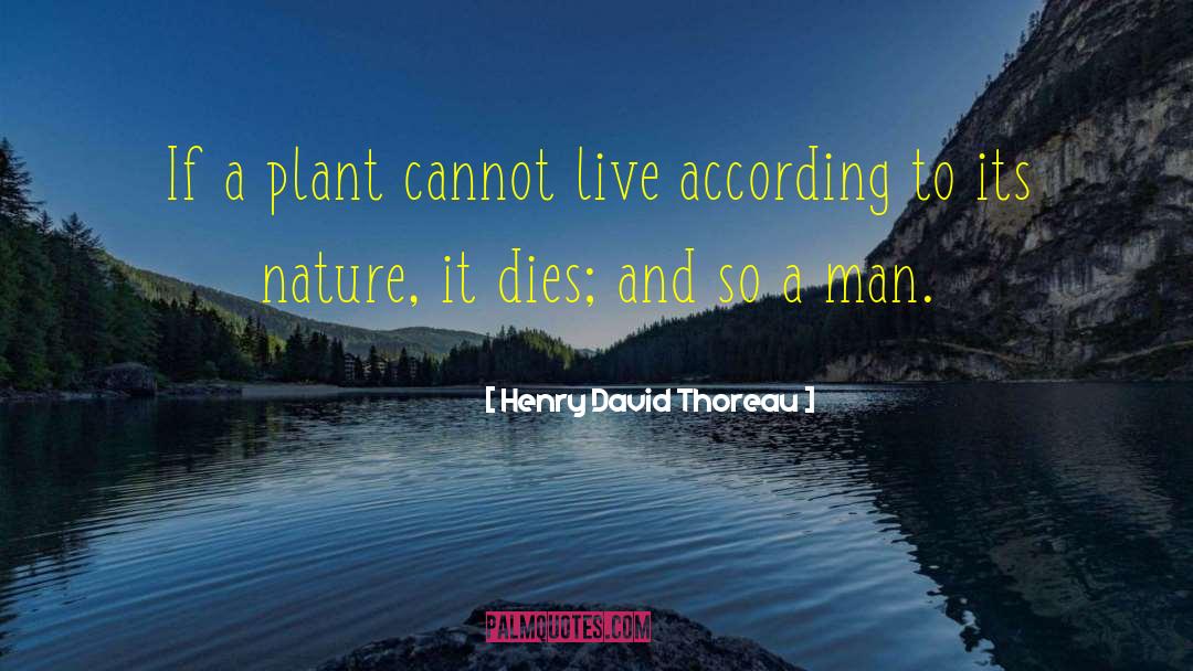 Man Machine quotes by Henry David Thoreau