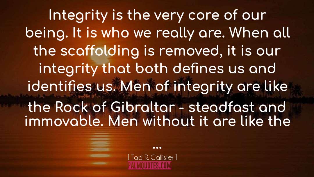 Man Of Integrity quotes by Tad R. Callister