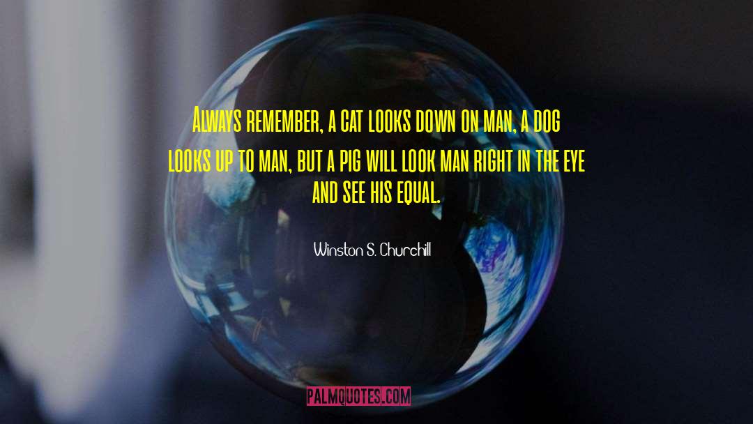Man S Nature quotes by Winston S. Churchill