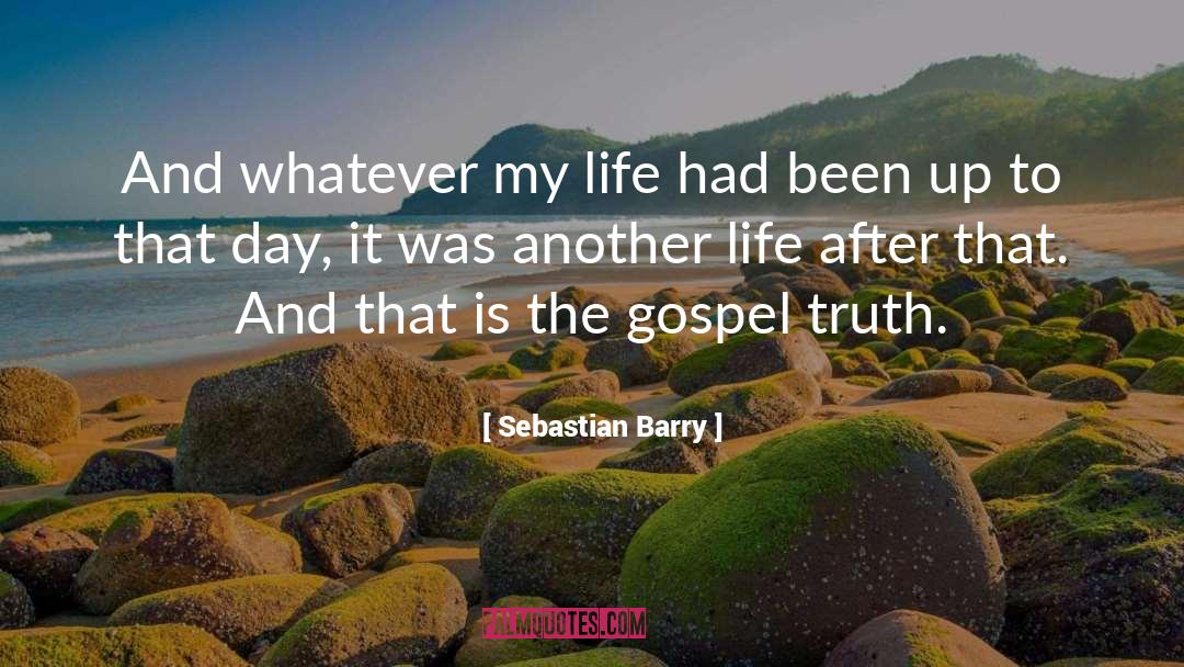 Manage Life quotes by Sebastian Barry