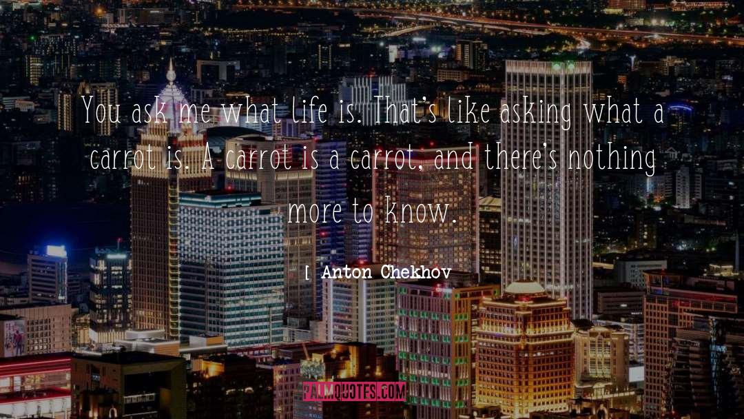 Manage Life quotes by Anton Chekhov