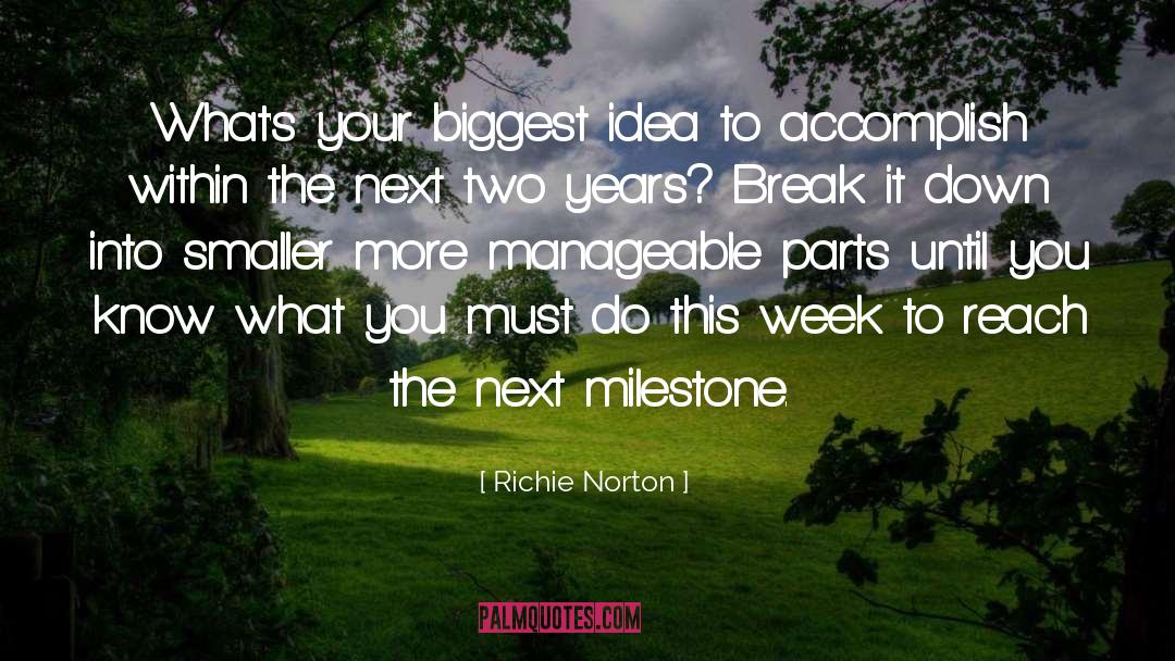 Manageable quotes by Richie Norton