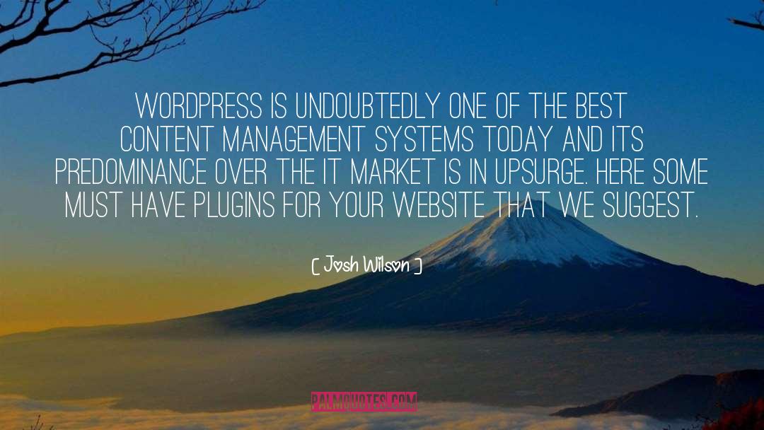 Management Skills quotes by Josh Wilson