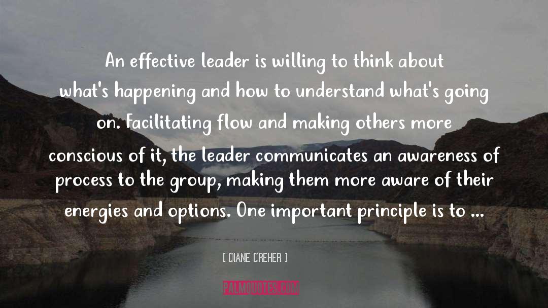 Management Vs Leadership quotes by Diane Dreher