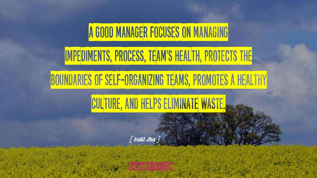 Manager Quote quotes by Salil Jha