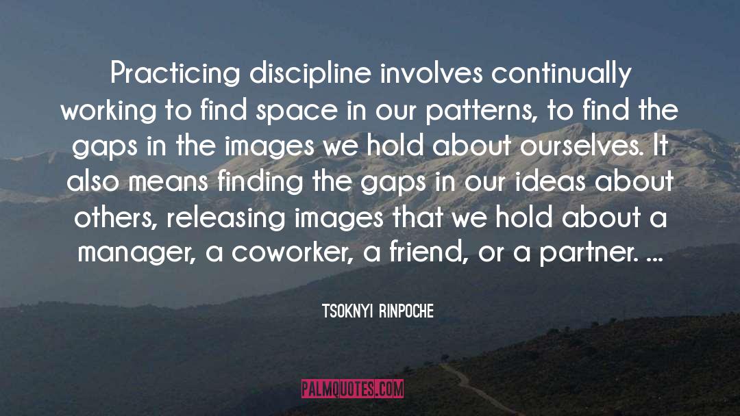 Manager quotes by Tsoknyi Rinpoche