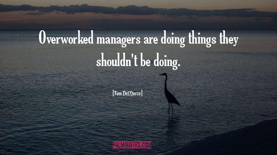 Managers quotes by Tom DeMarco