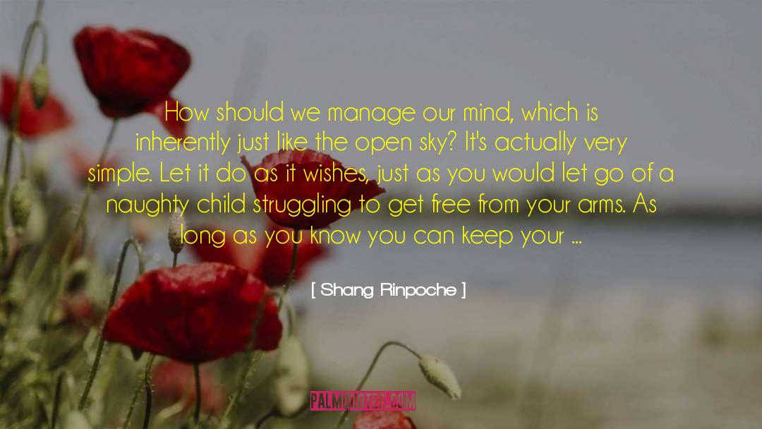 Managing The Mind quotes by Shang Rinpoche