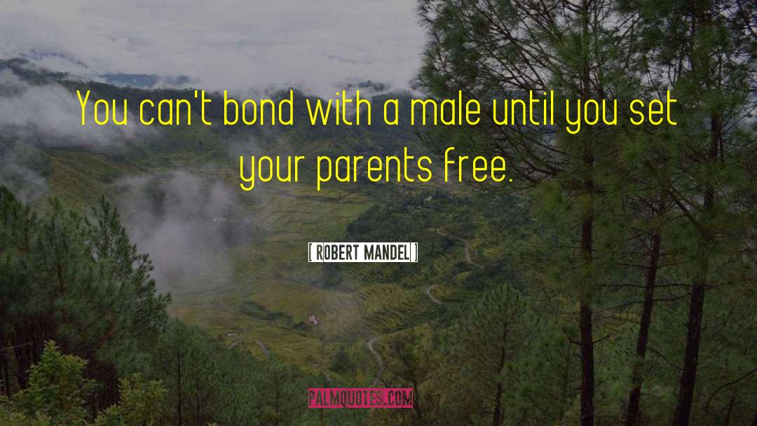 Mandel quotes by Robert Mandel